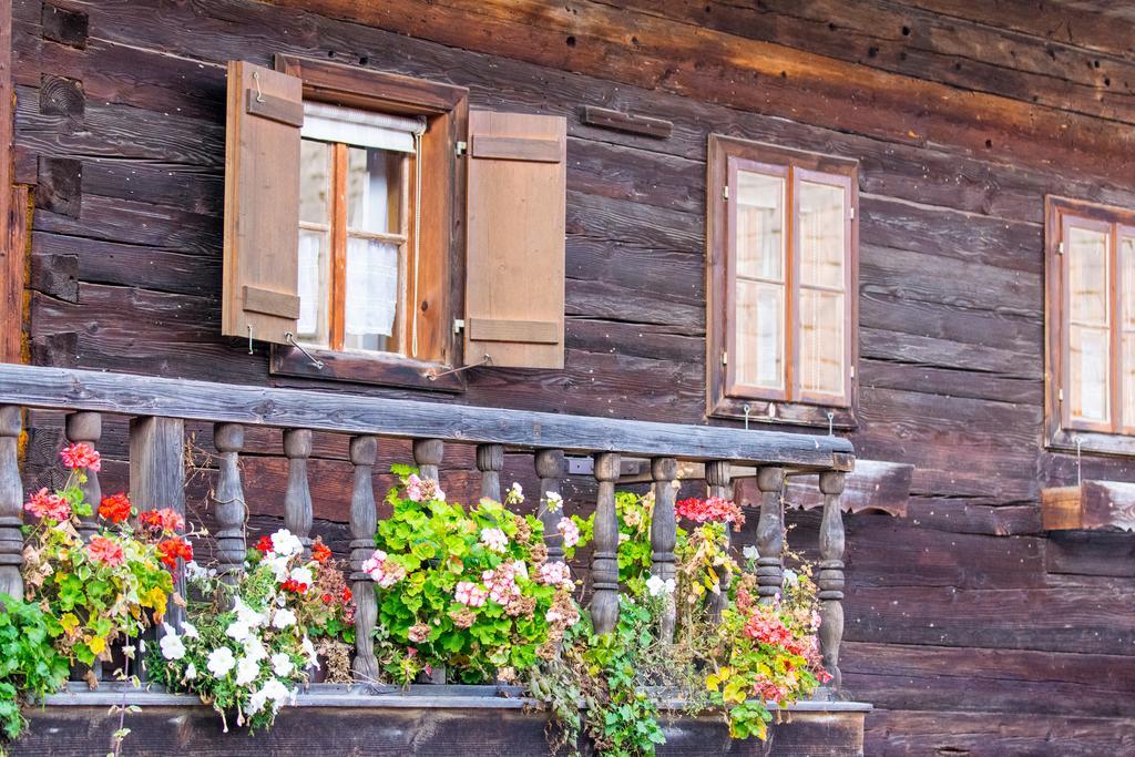Biohof Schmidbauer Apartman Frankenburg am Hausruck Kültér fotó